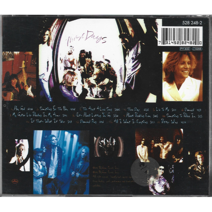 Bon Jovi – These Days