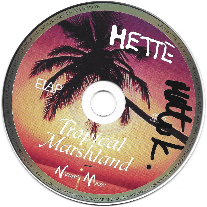 Tropical Marshland